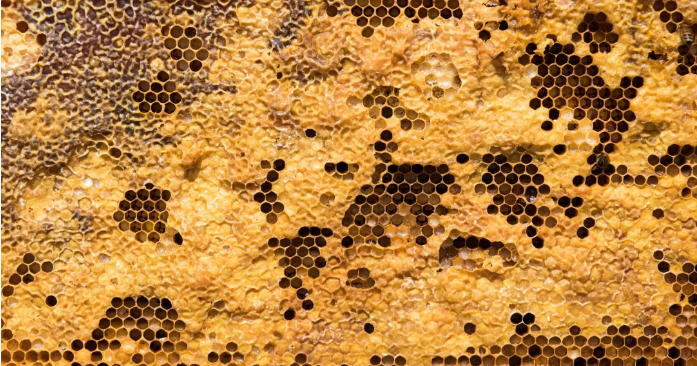 NLP Essentials: Detecting Patterns